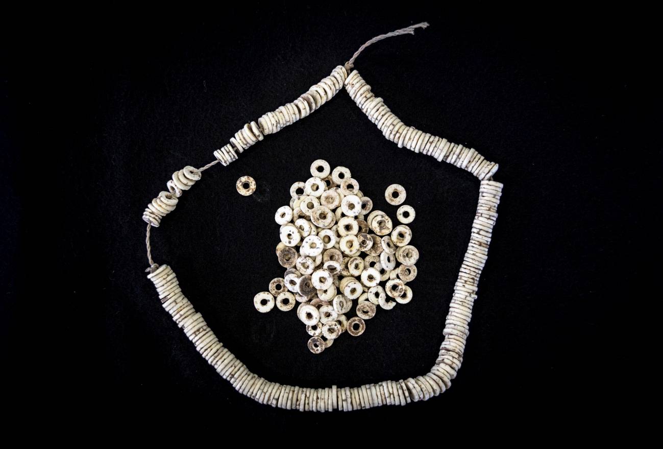 modern OES bead necklace - Investigadores del Instituto Max Planck revelan que  huevos de avestruz revelan una red social de hace 50.000 años en toda África