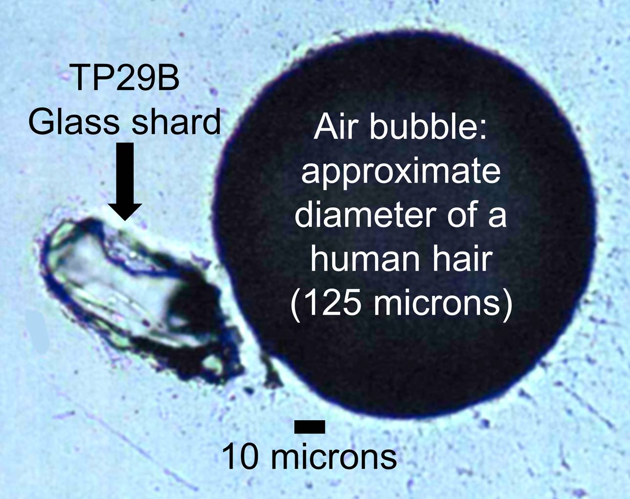 Pequeño fragmento de vidrio de menos del diámetro de un cabello humano recuperado en el yacimiento. /  Racheal Johnsen