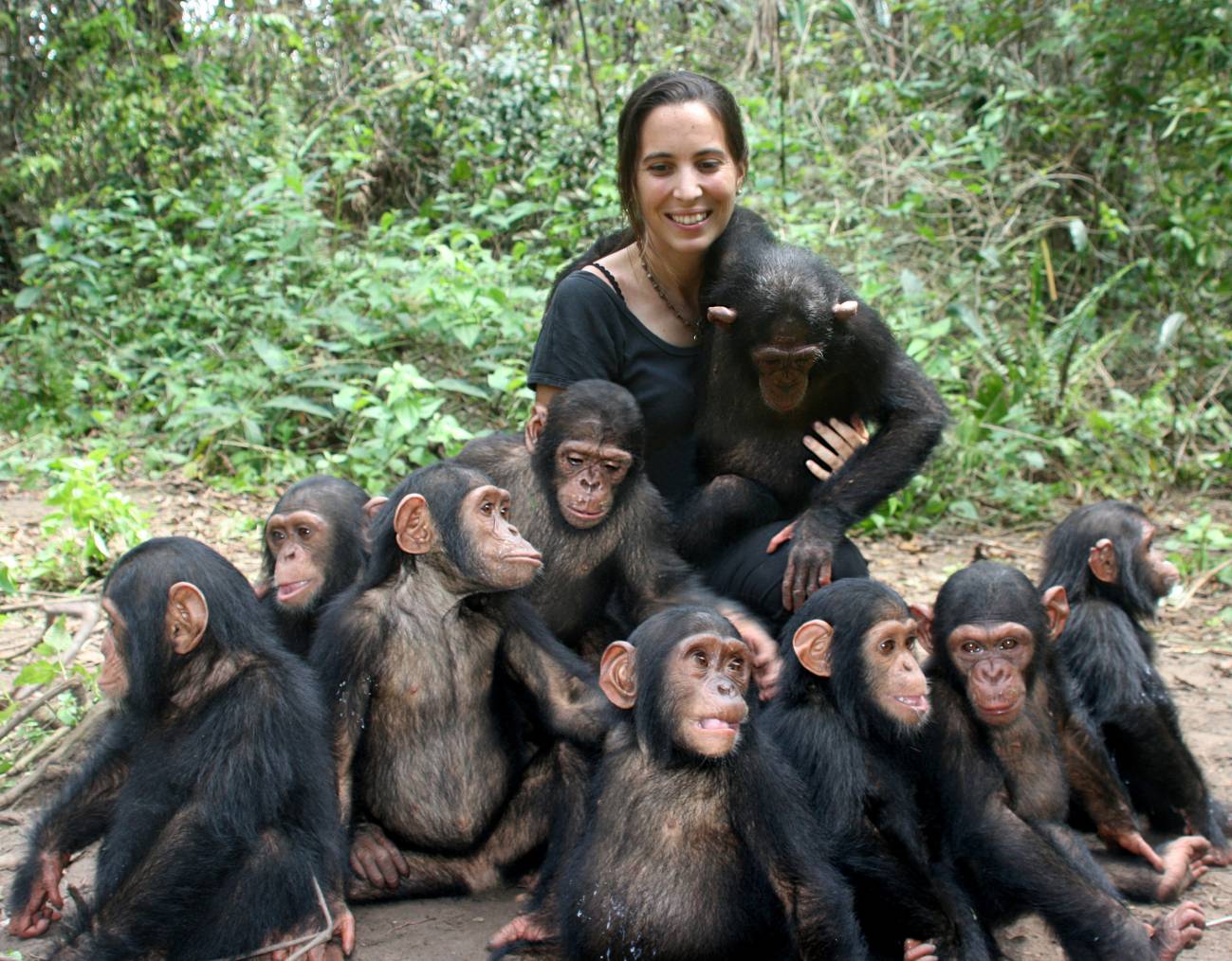 Rebeca Atencia con chimpancés
