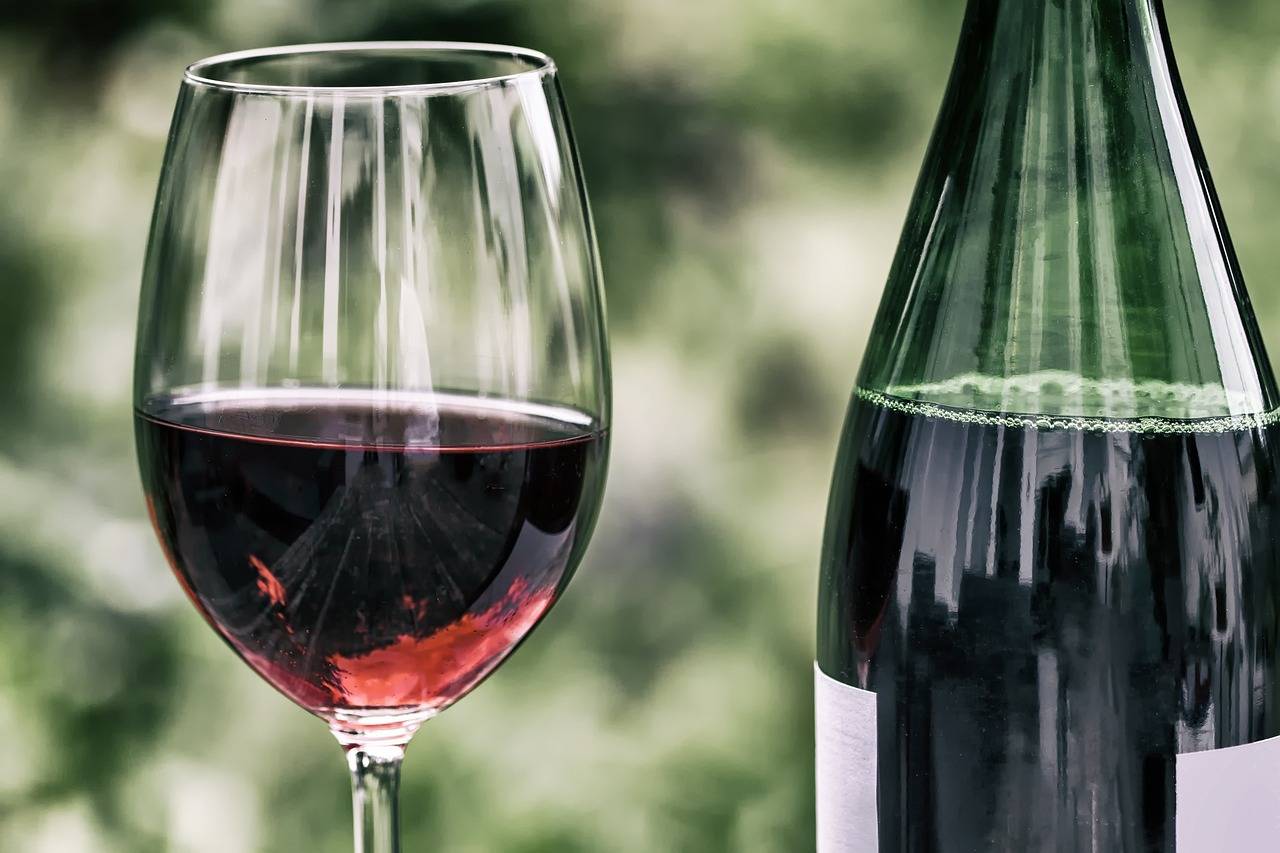 Las personas que consumen vino suelen tener mayor nivel socioeconómico, siguen dietas más saludables y practican más ejercicio físico. / Pixabay