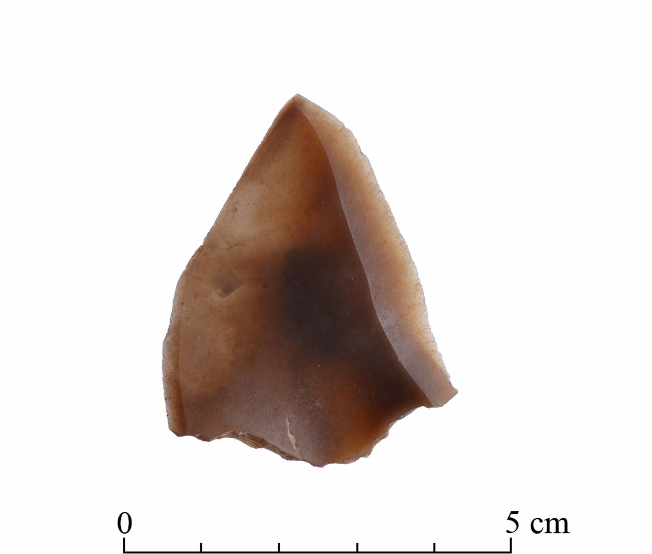 Herramienta de piedra del Homo tipo Nesher Ramla. / Tal Rogovski