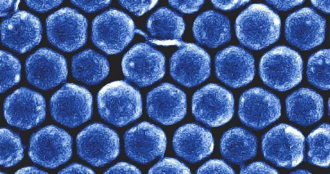 Imagen de microscopía electrónica de un cristal fotónico de nanopartículas de silicio. / Shi Lei