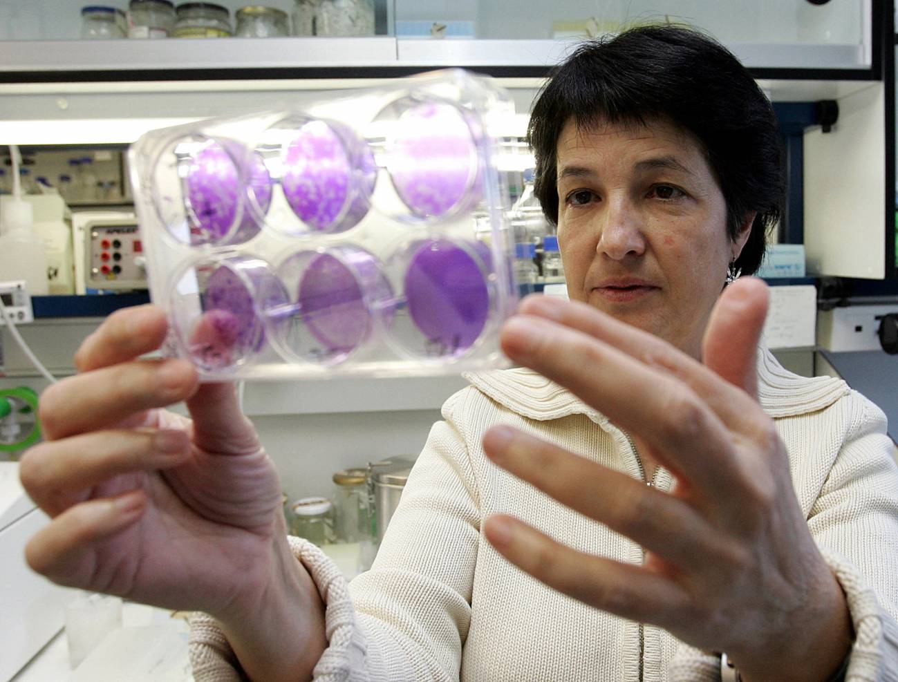 En la imagen, la investigadora del Centro Nacional de Biotecnología, Amelia Nieto, en su laboratorio. / EFE