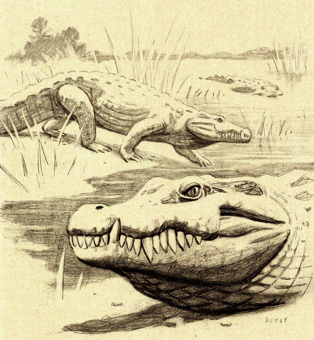 Reconstrucción del aspecto en vida de Lohuecosuchus megadontos. / Javi Godoy