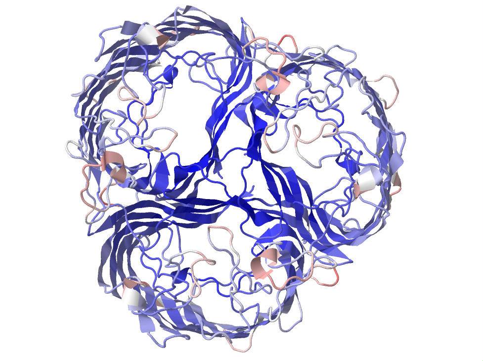 Representación de la proteína lamB de la E. Coli. Imagen: Justin Meyer.