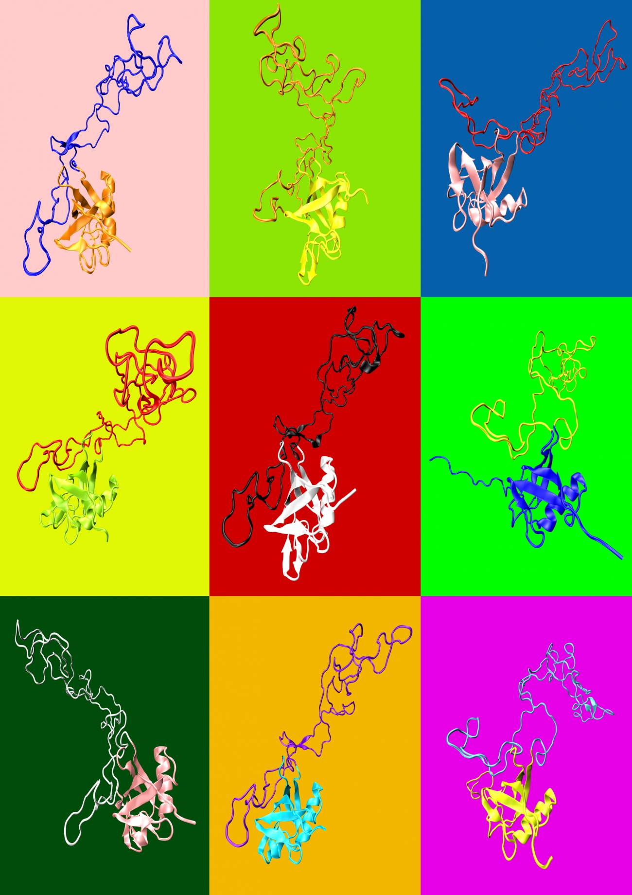 Formación polimórfica de una proteína neurotóxica (cada color representa una simulación informática distinta de la proteína). Imagen: CSIC 