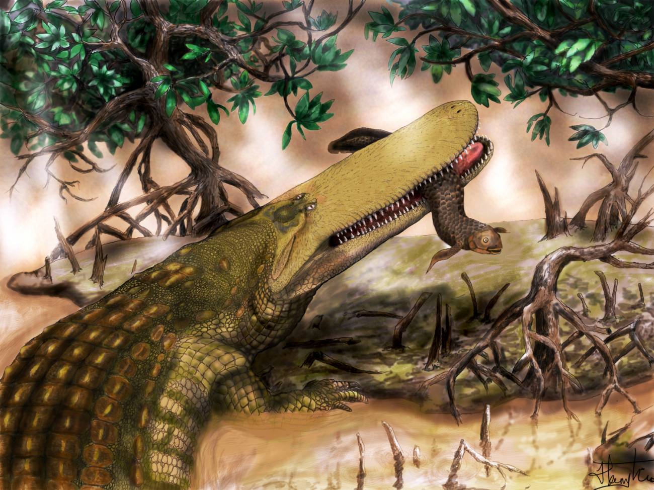Ilustración del cocodrilo escudo
