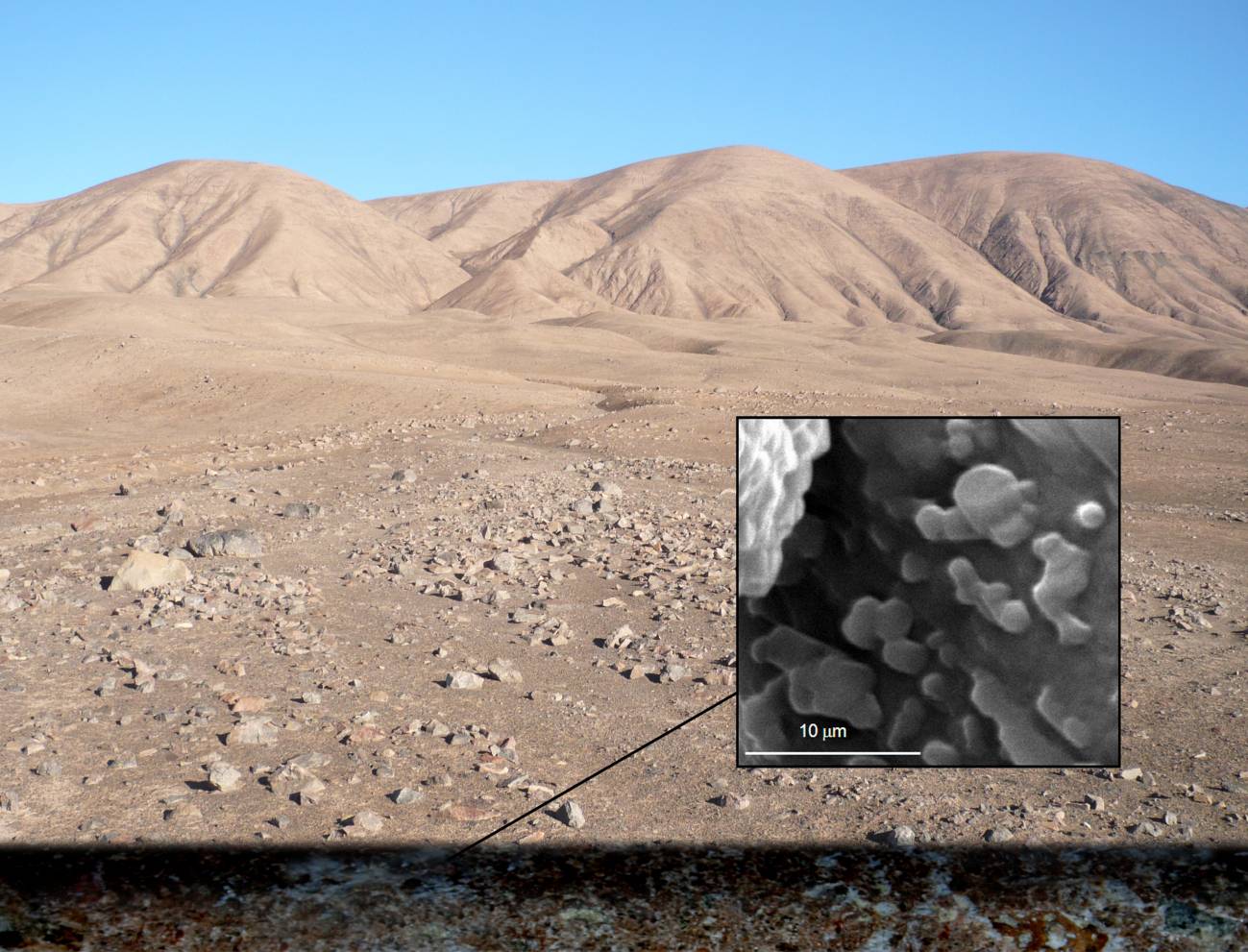 Bajo el desierto de Atacama crecen los microbios en los cristales de sal. Imagen: Parro et al./CAB/SINC.