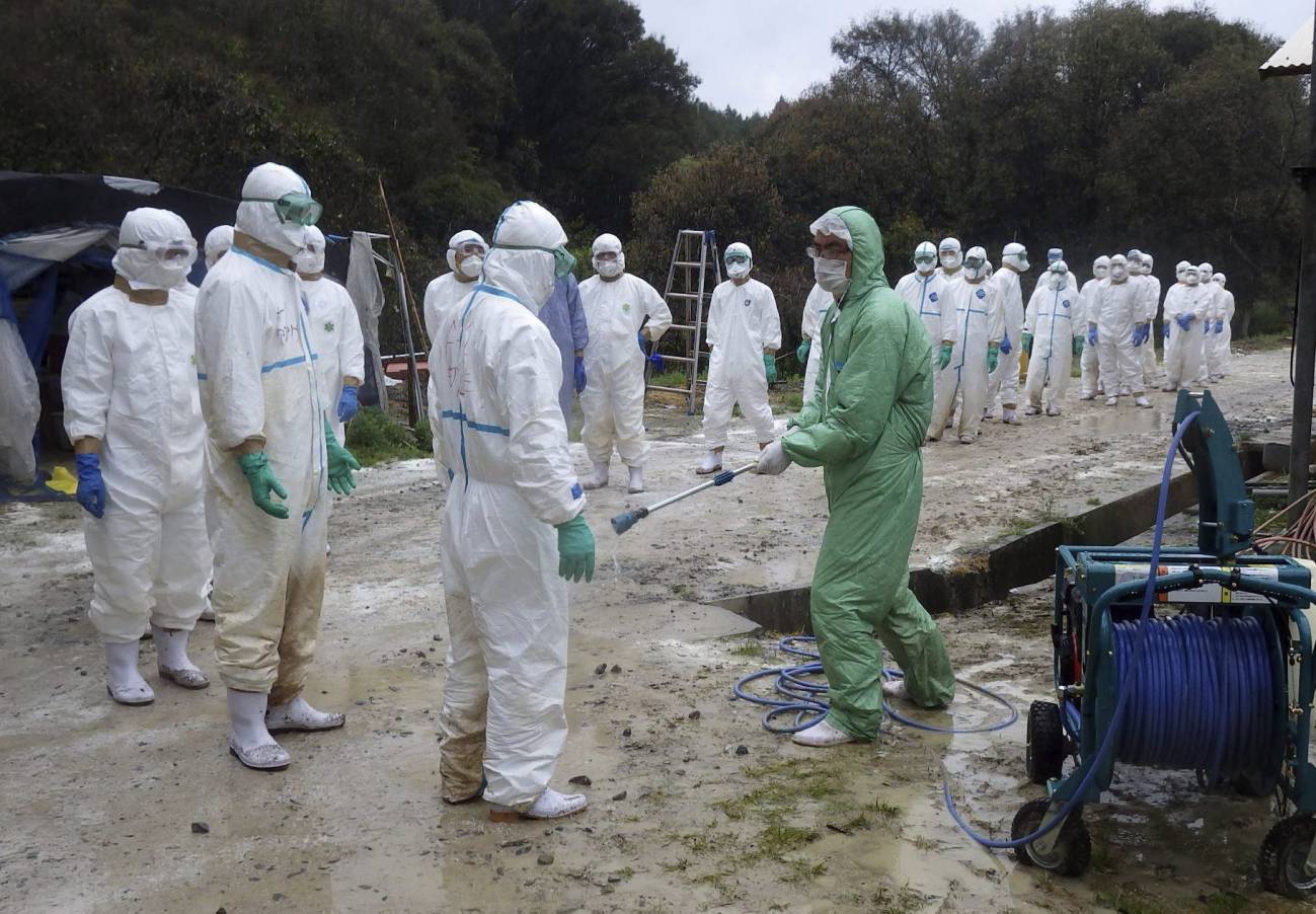 Varios trabajadores que llevan trajes protectores mientras se someten a medidas de desinfección antes de entrar en una granja de pollos para sacrificar a las aves en Taragi (Japón). / Efe