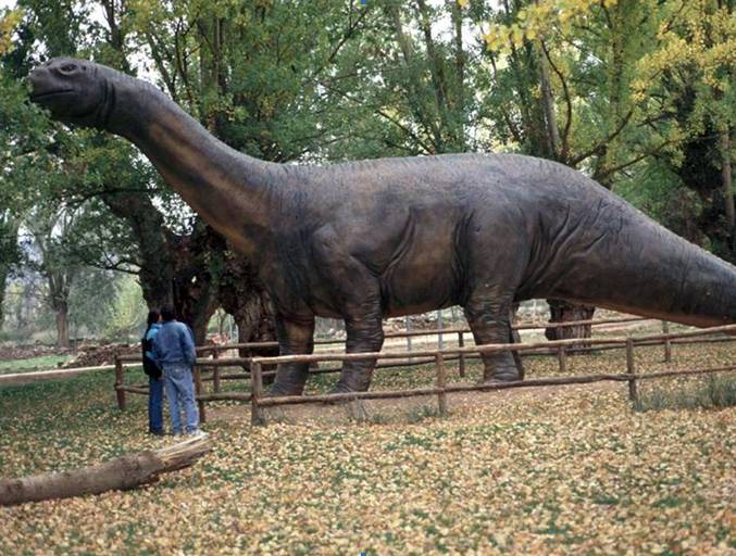 El primer dinosaurio descubierto en España rejuvenece