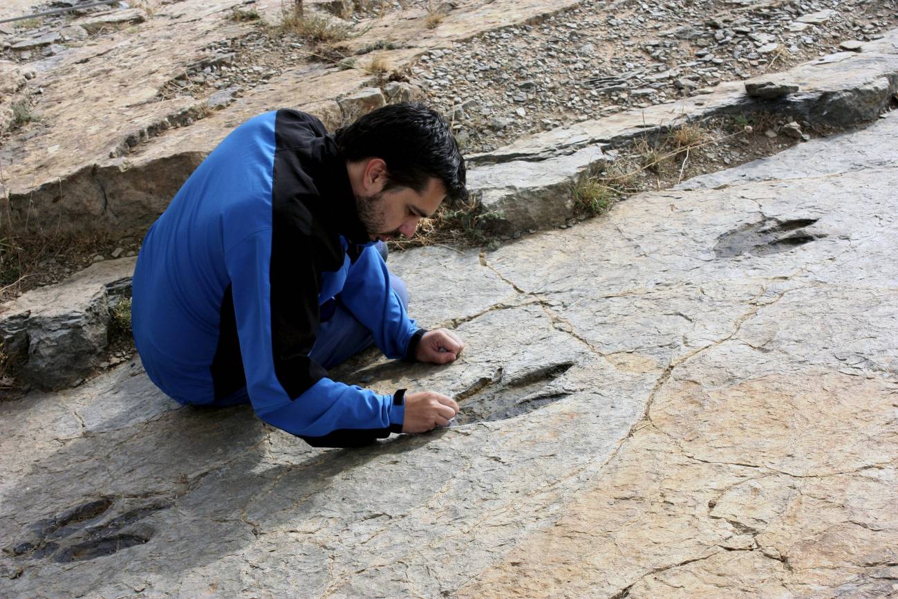  Fotografía facilitada por el investigador Ignacio Díaz que ha identificado en varios yacimientos riojanos la huella de un dinosaurio bípedo, carnívoro y de gran tamaño. / Efe