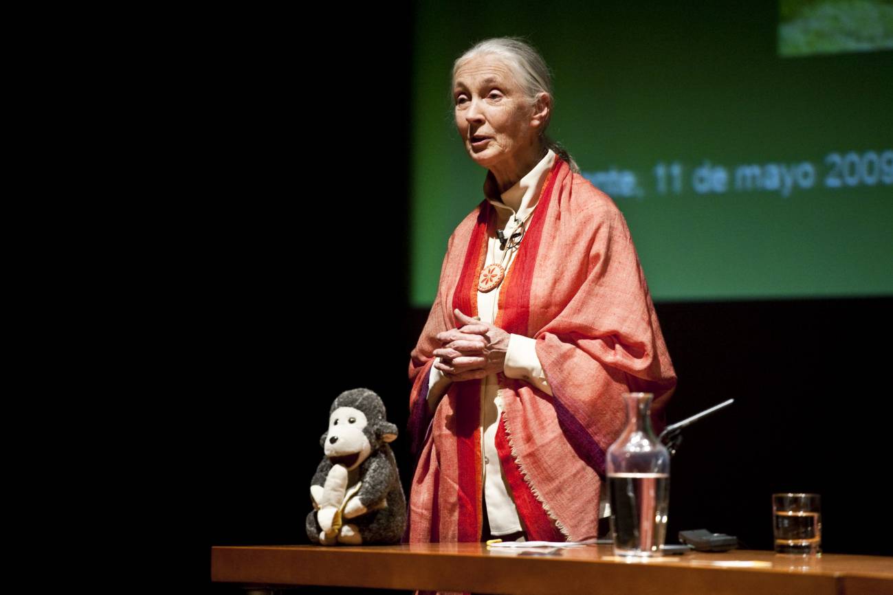 Jane Goodall, doctora Honoris Causa por la Universidad de Alicante