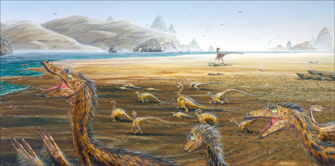 Encuentran una manada de dinosaurios jóvenes en el desierto del Gobi
