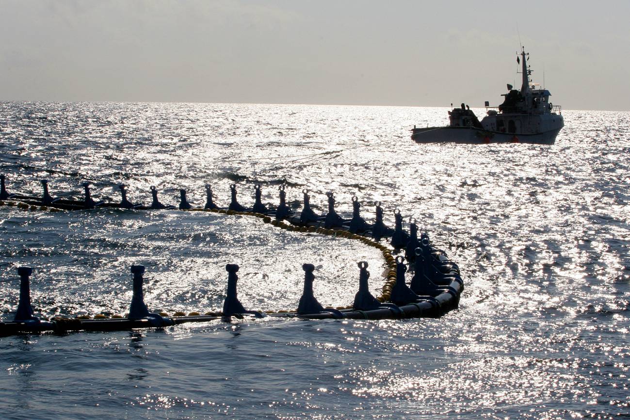 Liberan 160 ejemplares de atún rojo enjaulado en El Gorguel (Murcia)