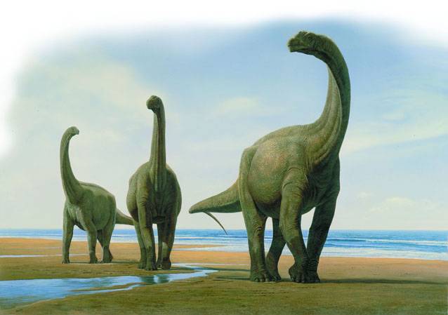 Grupo de Camarasaurios