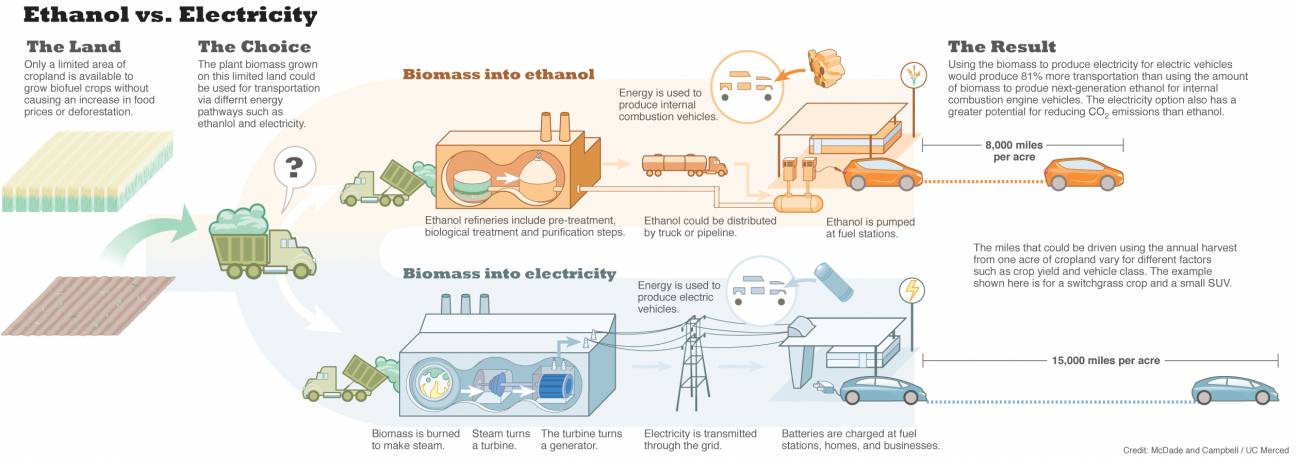 La biomasa puede ser mejor que el etanol para producir electricidad