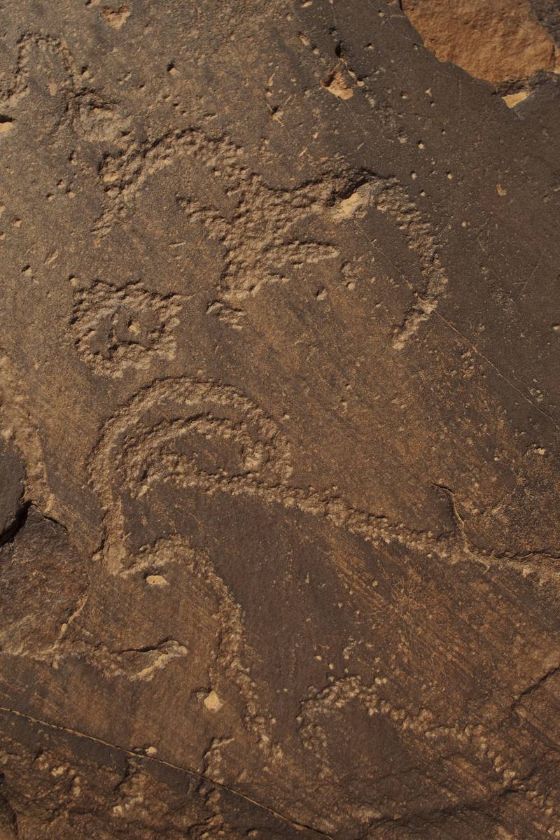 En estos grabados rupestres de Tachokalt 1 aparecen dos cápridos representados de frente y perfil. Autor : Proyecto Tamanart.