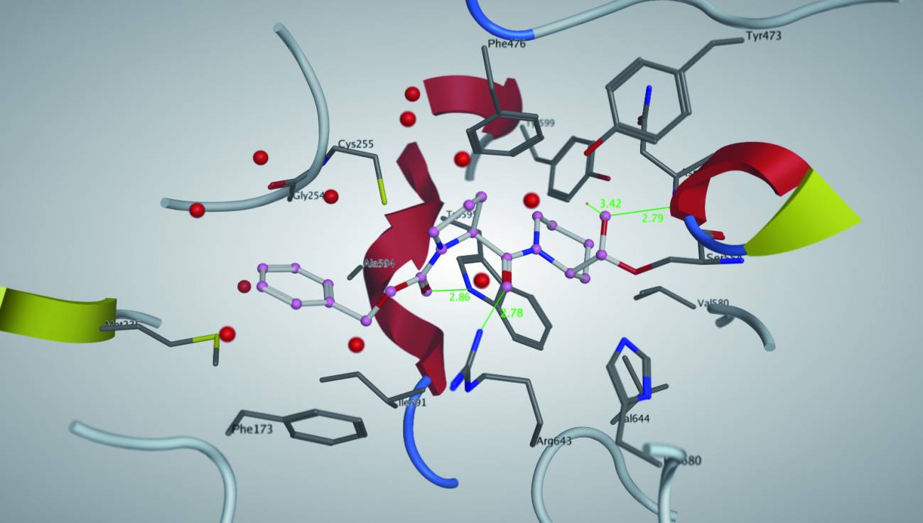 Los fármacos interaccionan específicamente con proteinas para ejercer sus efectos. Imagen: PCB 