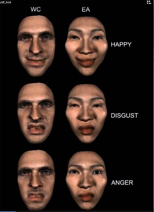 Los voluntarios identificaron la emoción y su intensidad en 4.800 animaciones de caras. Imagen: Oliver G.B. Garrod (PNAS)  