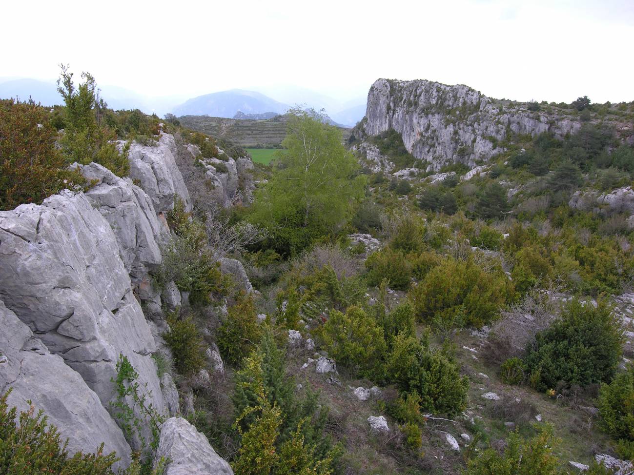 En esta imagen se aprecia una amplia zona hundida y desplazada lateralmente de la parte alta de la montaña (graben). Imagen: UAB.