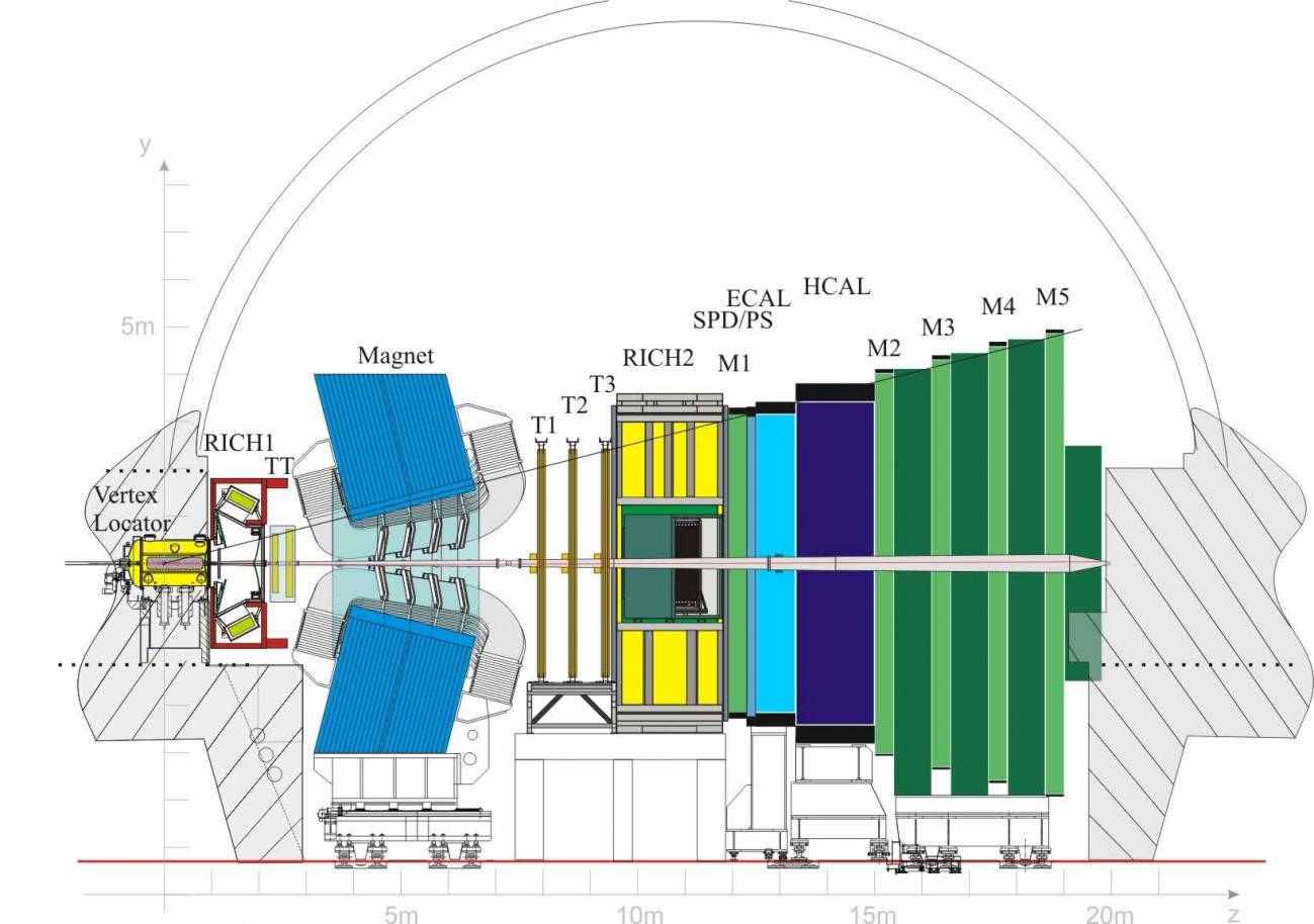 La estructura del LHCb