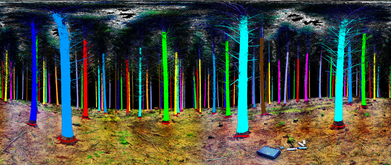 El sistema Satmodo transmite datos de la tala de árboles en tiempo real. Imagen: Blairs.  