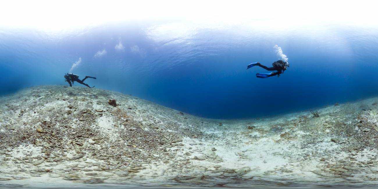 Arrecifes de coral en 2013, Bonaire. / Catlin Seaview Survey