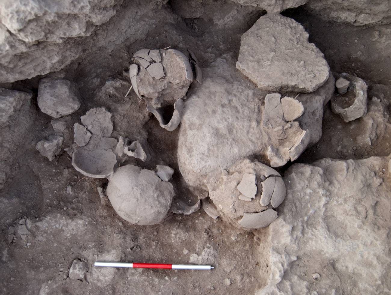 Cráneos mutilados hallados en el yacimiento de Tell Qarassa Norte (Siria). Imagen: ULPGC. 