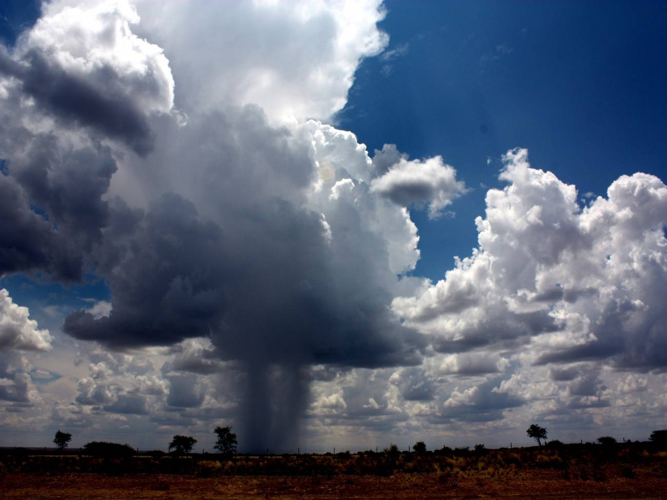 Nube de tormenta formándose en Namibia. Imagen: Nina Ražen