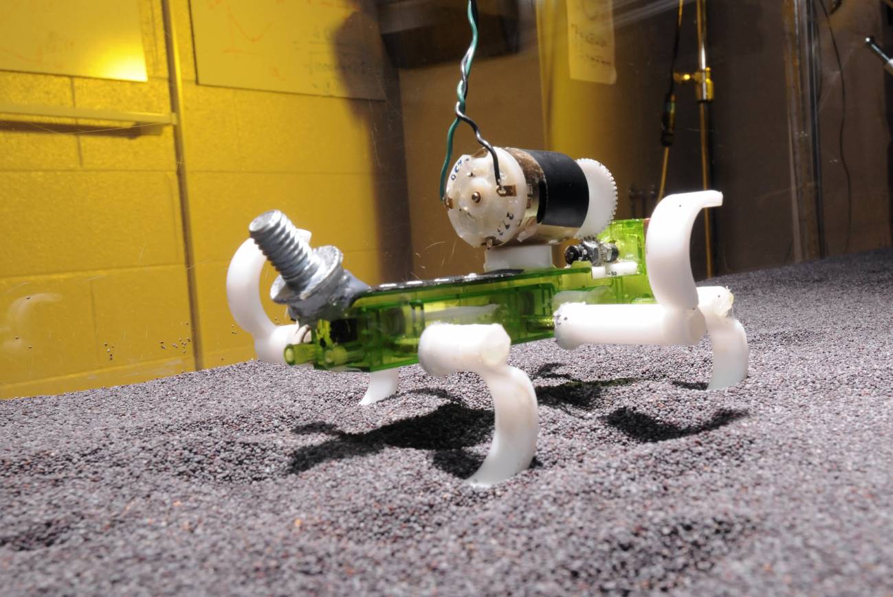 El robot se mueve por la supeficie granular. / Chen Li et al.