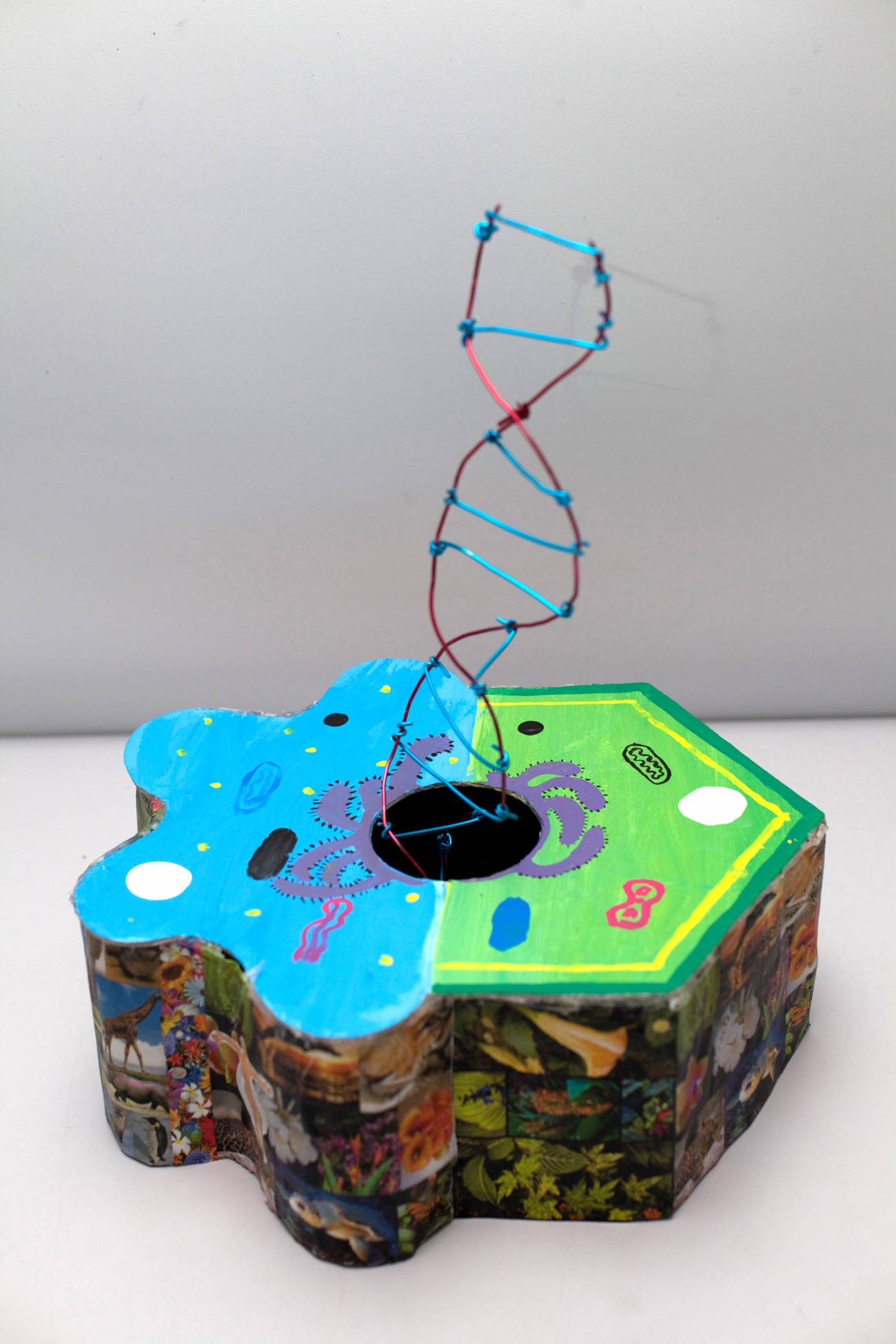 Celebran el primer Concurso Artístico del ADN