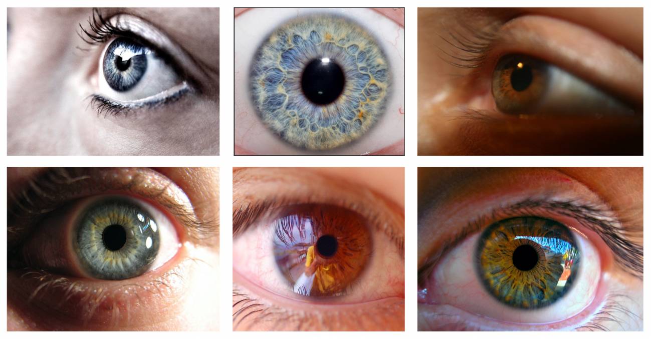 De qué color son mis ojos?