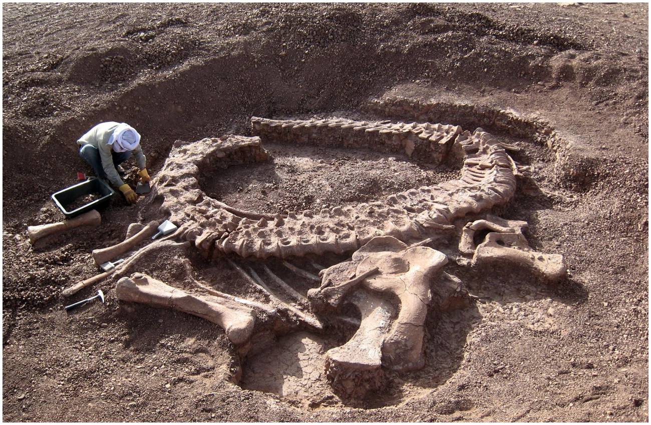 Excavación del saurópodo Spinophorosaurus nigerensis en Níger.