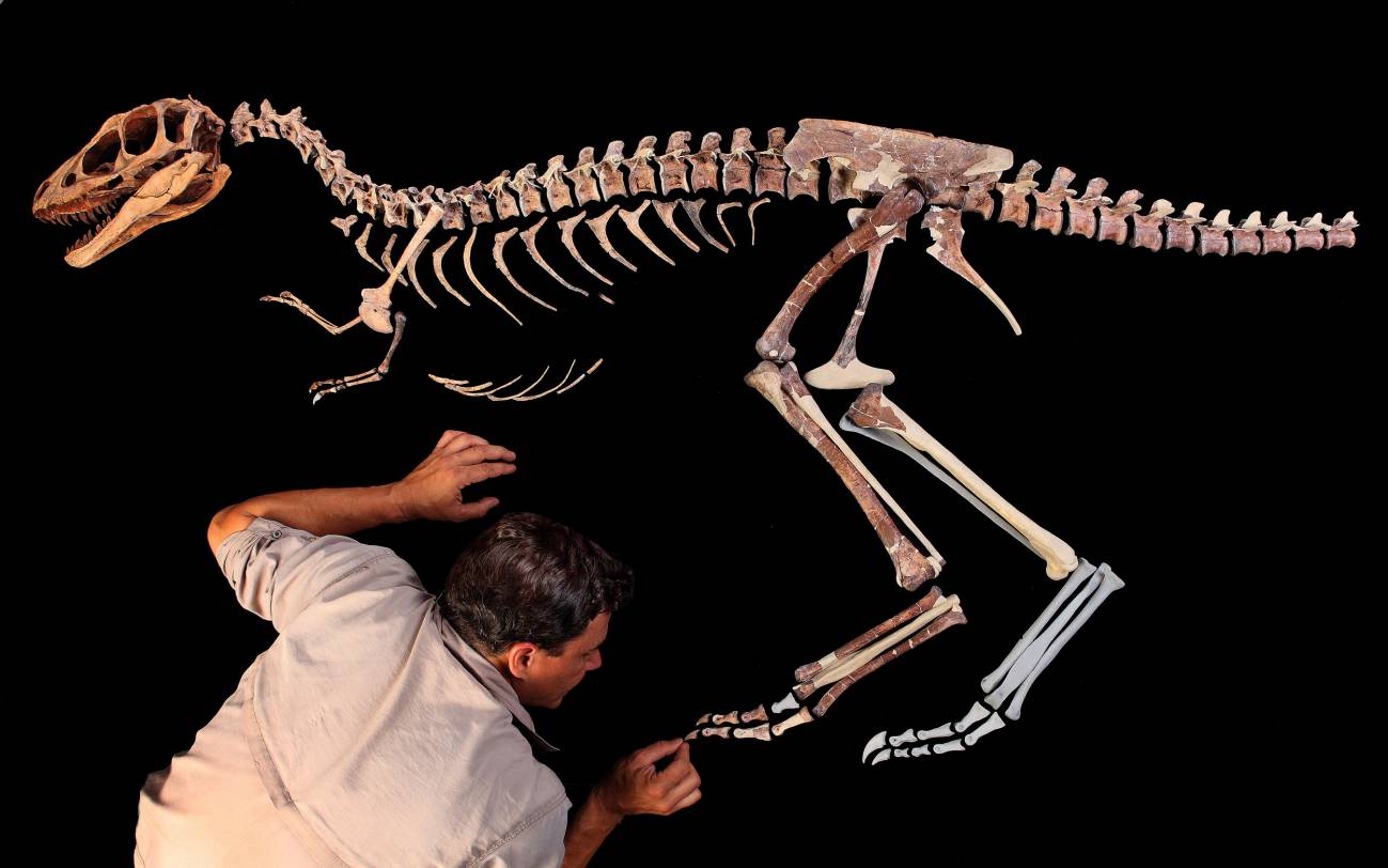 El antecesor del tiranosaurio era 100 veces más pequeño