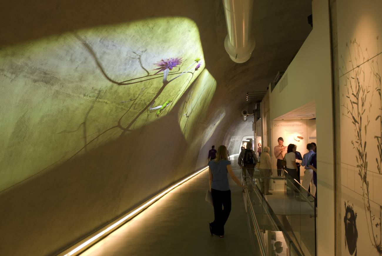 El Museo de Historia Natural de Londres presenta el Centro Darwin