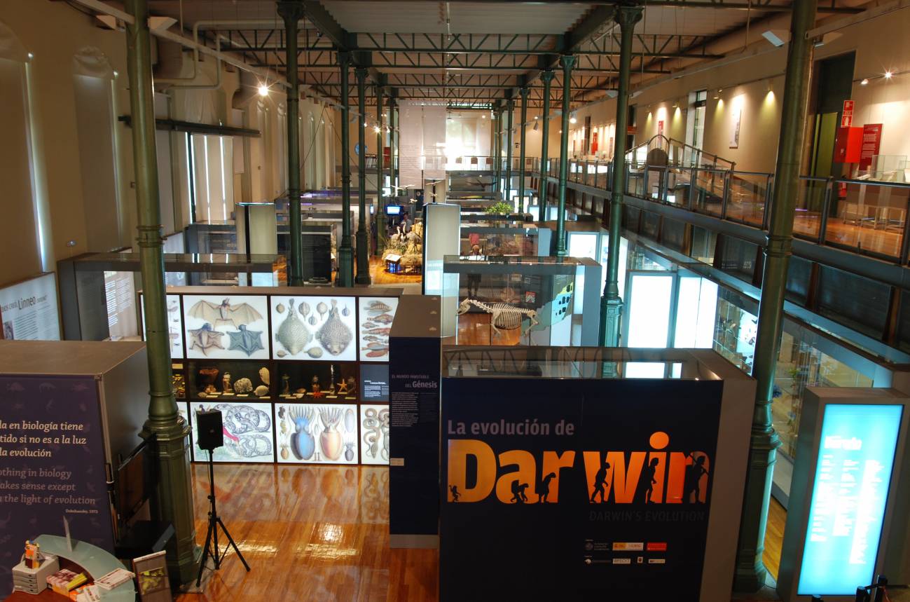 El Museo Nacional de Ciencia Naturales celebra el 200 aniversario de Darwin con una exposición