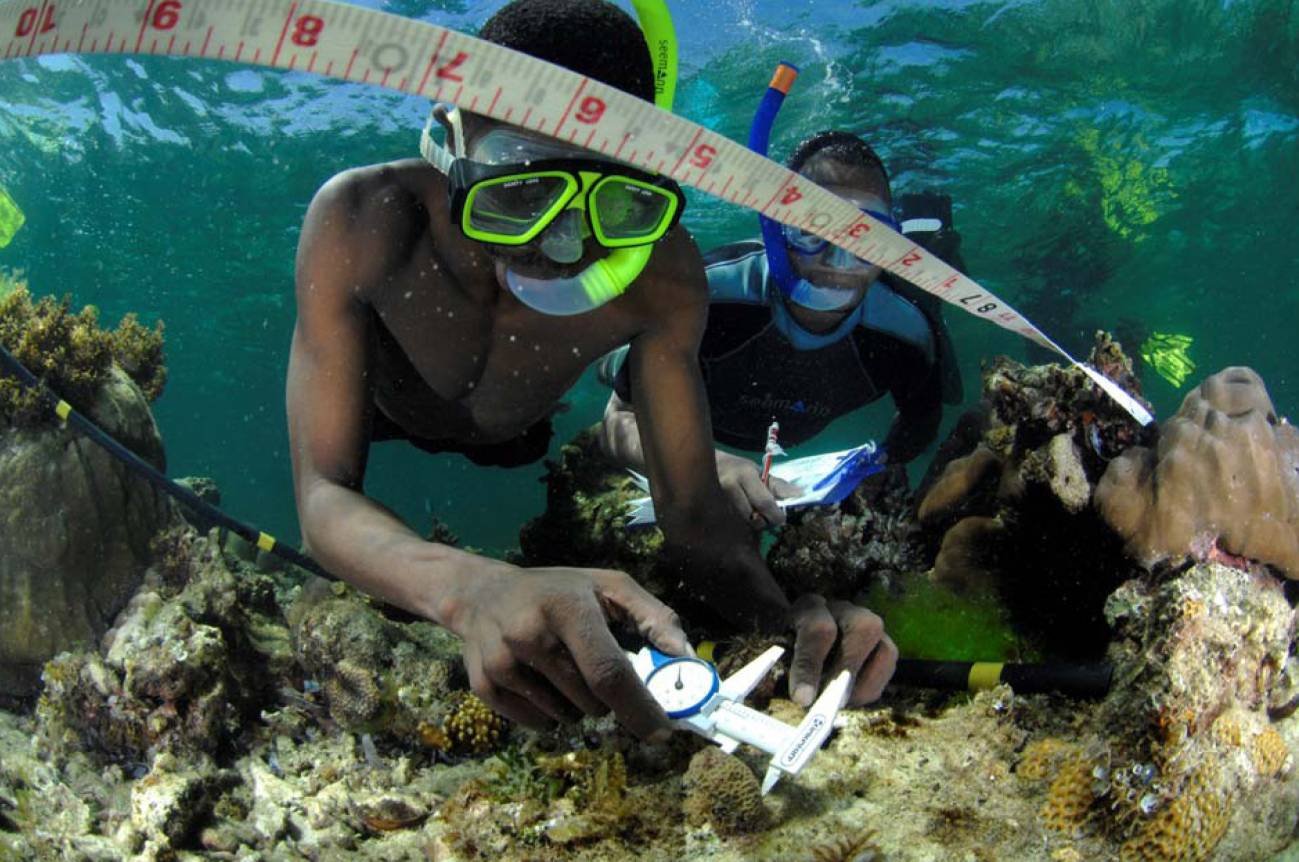 Crean un protocolo para evaluar los arrecifes de corales