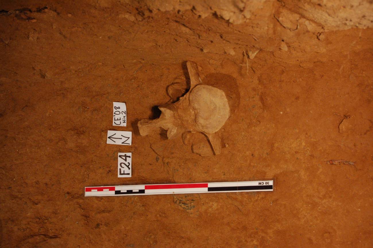 El yacimiento de la Cueva Eirós permite estudiar la transición entre los últimos neandertales y los primeros humanos modernos