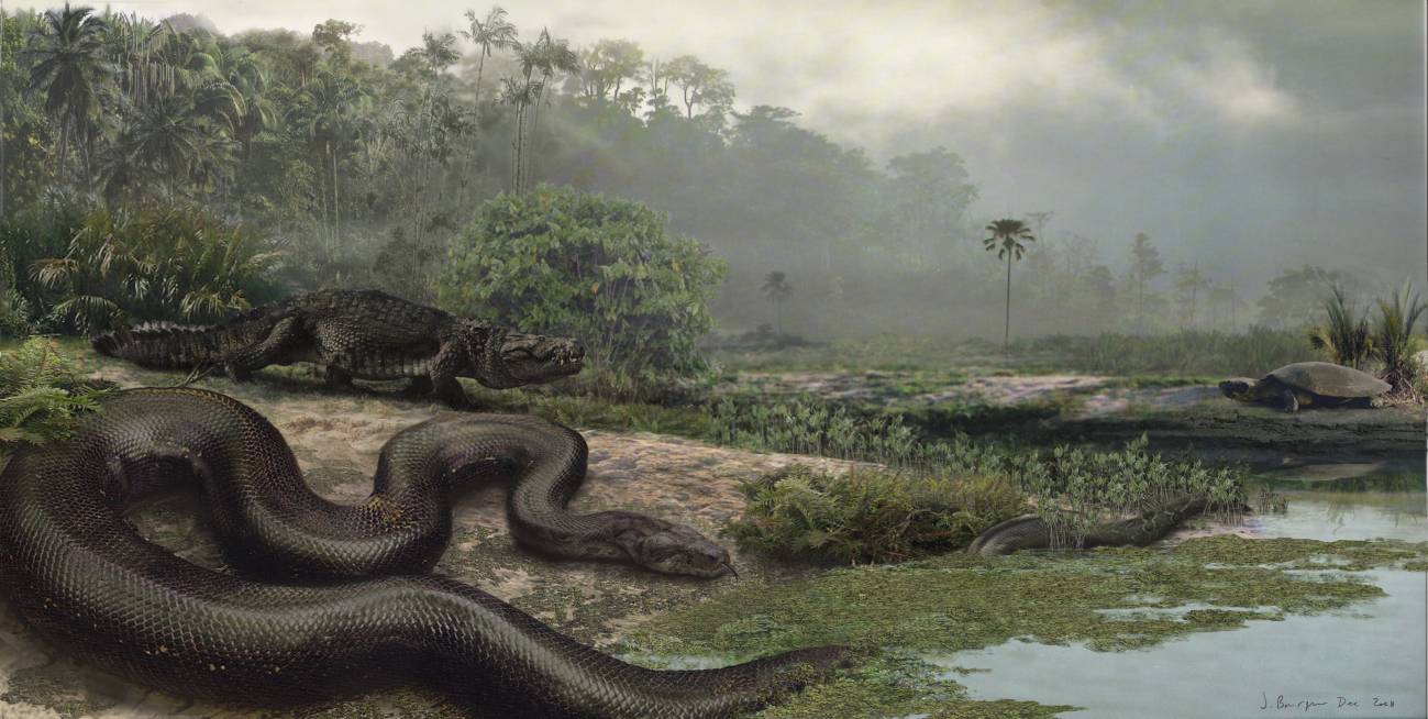 Encuentran un fósil de la serpiente más larga del mundo