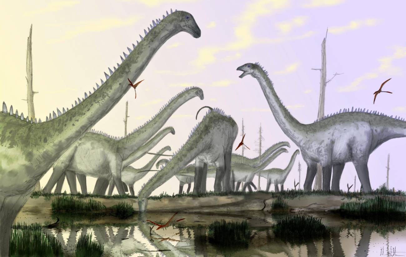 Los saurópodos sostenían sus cuellos en el aire y no hacia abajo, como se creía hasta ahora