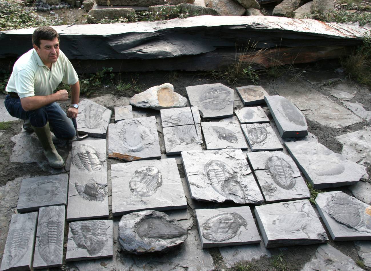 Encuentran un yacimiento de trilobites gigantes en Portugal 