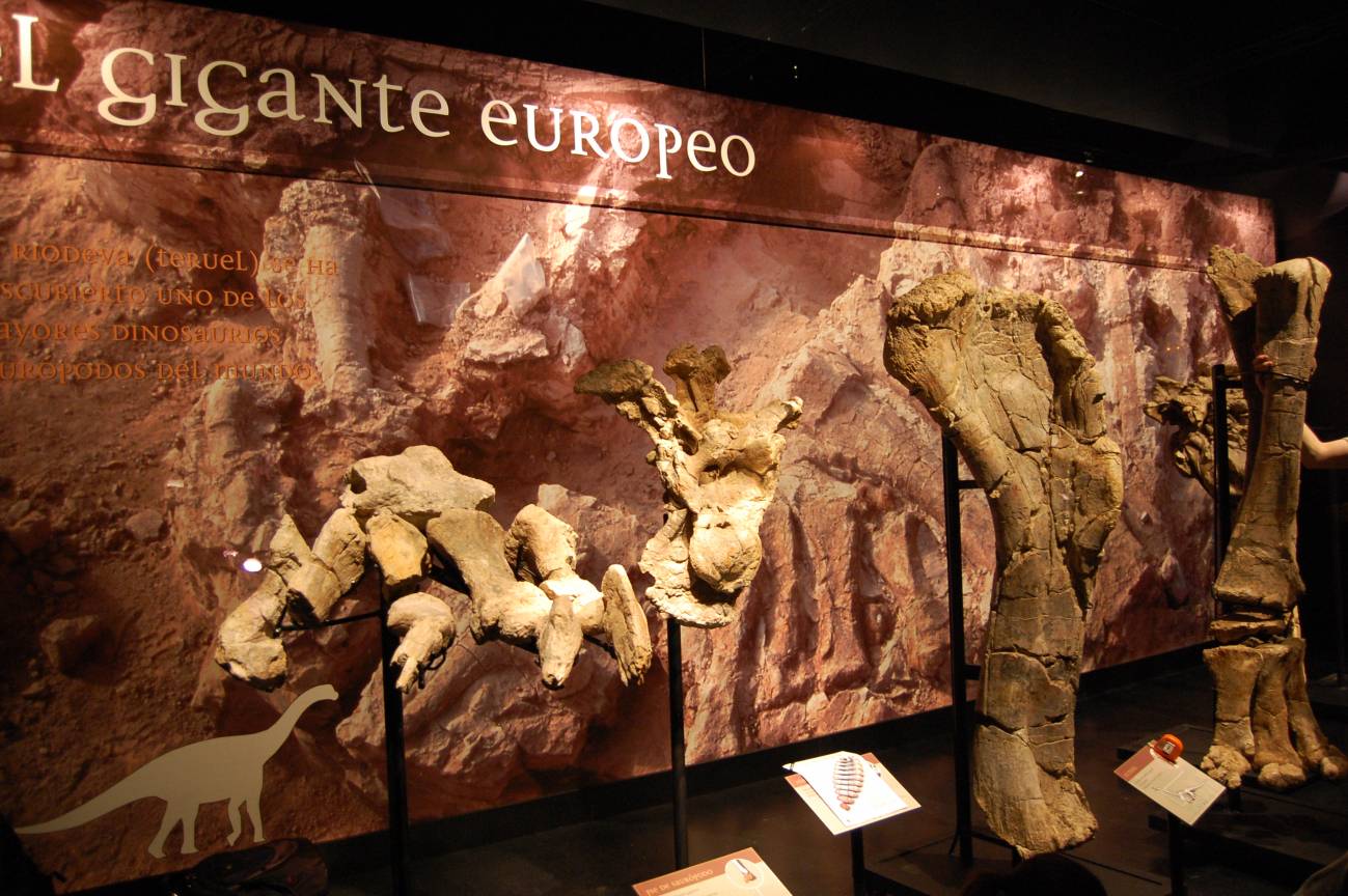 Fósiles del dinosaurio gigante hallados en Teruel 