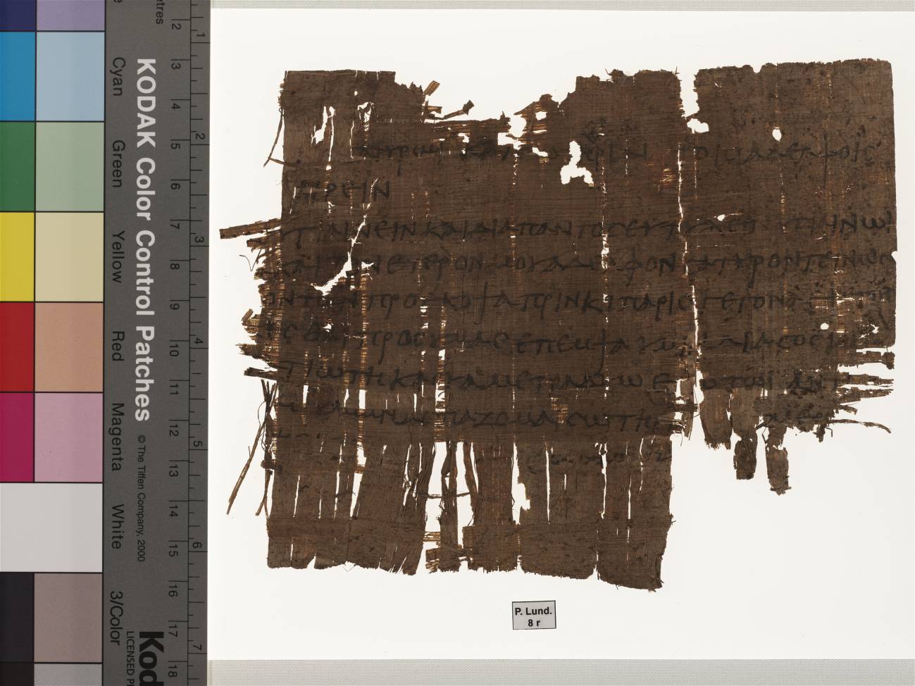 La colección de papiros más grande del mundo, disponible en Internet