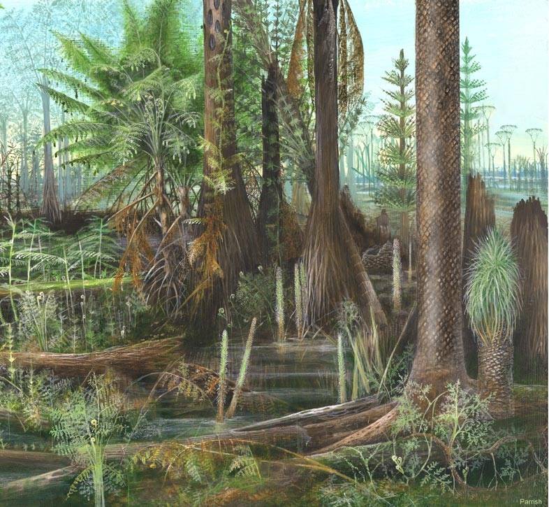 Las primeras selvas tropicales de la Tierra.