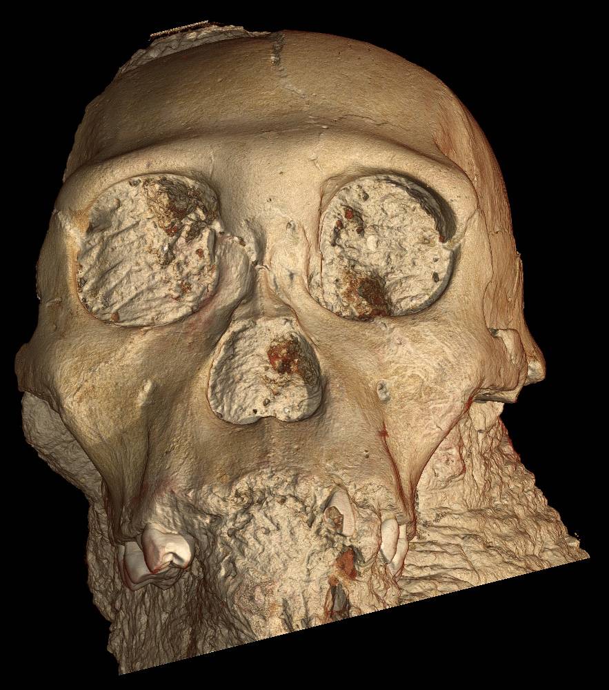 Los primeros estudios del nuevo ancestro humano se realizan con el sincrotrón europeo