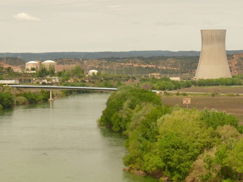 Plantas acuáticas del Ebro obligan a reducir la potencia de la central de Ascó II 