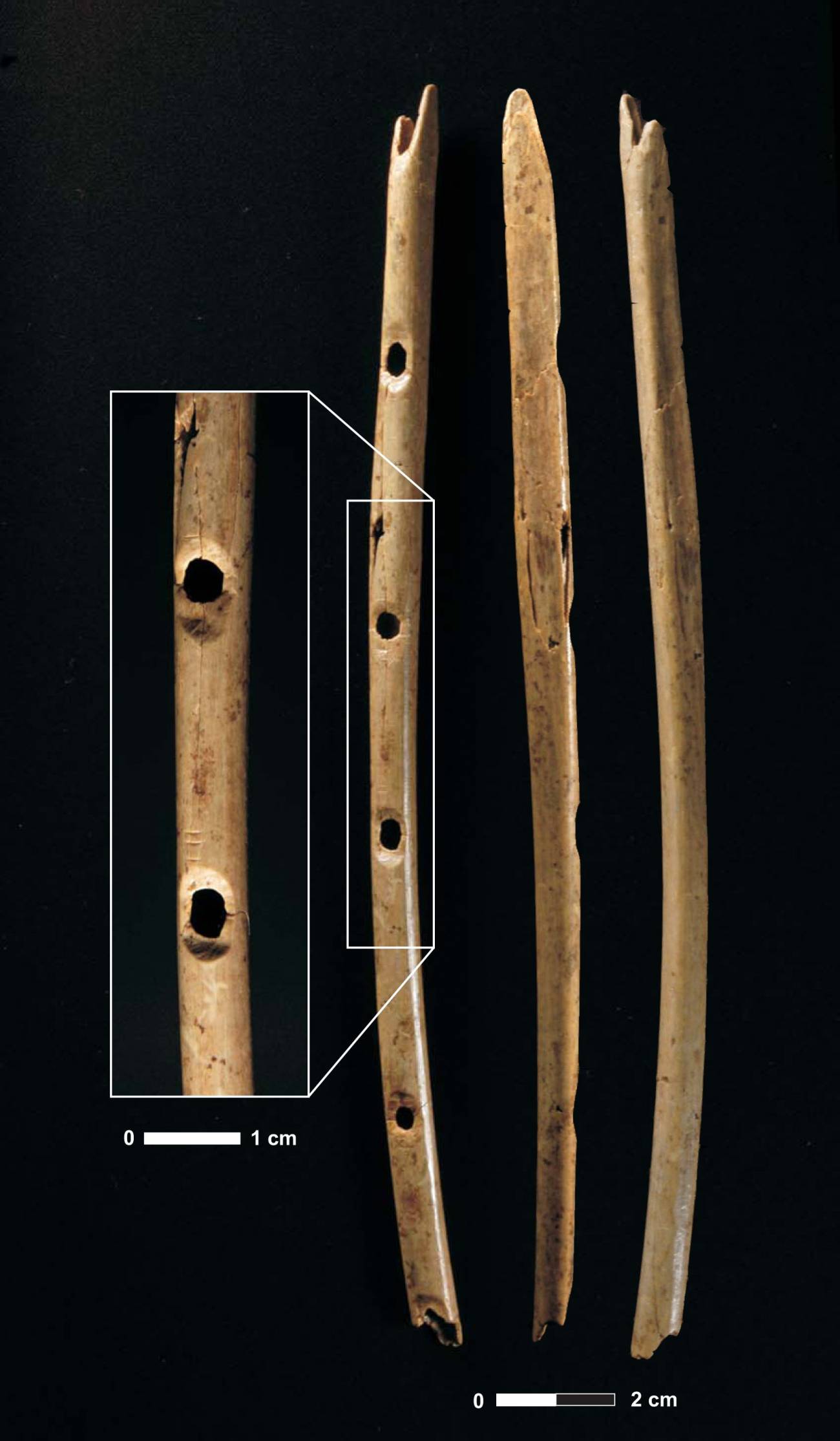 La flauta trobada a les coves de Hohle Fels.