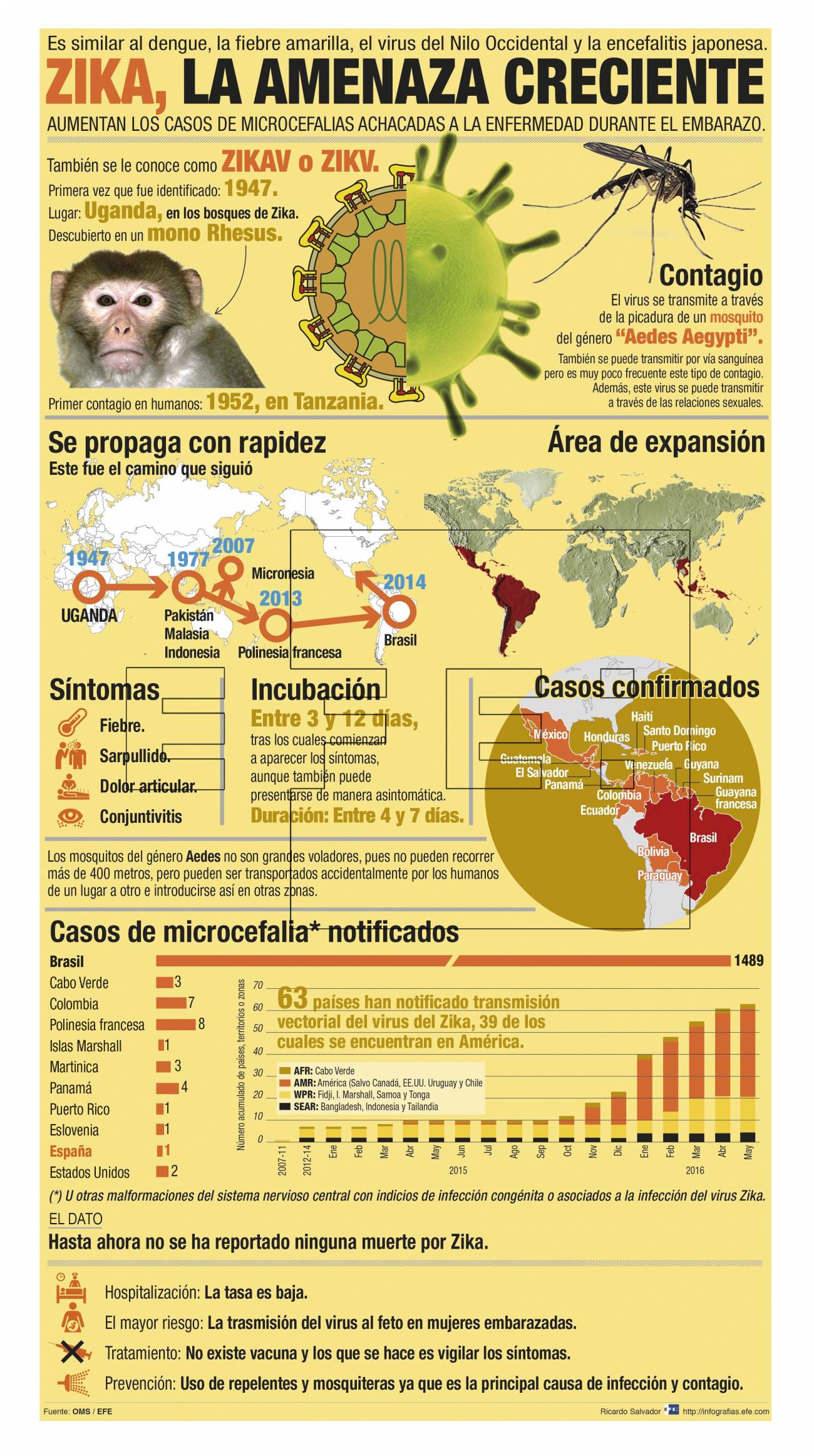 Expansión del virus del zika. / Efe