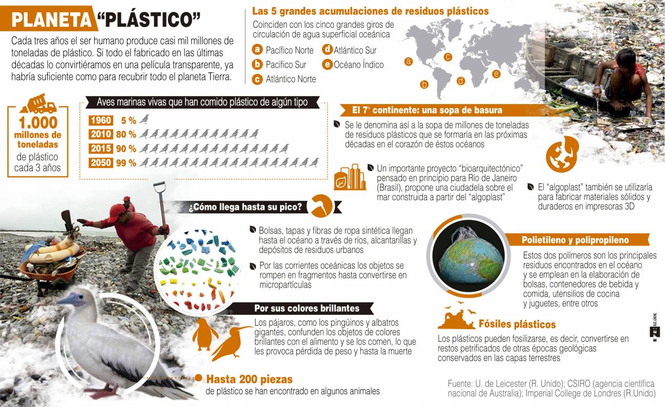 Infografía explicativa de la contaminación por plásticos en la Tierra. / Efe