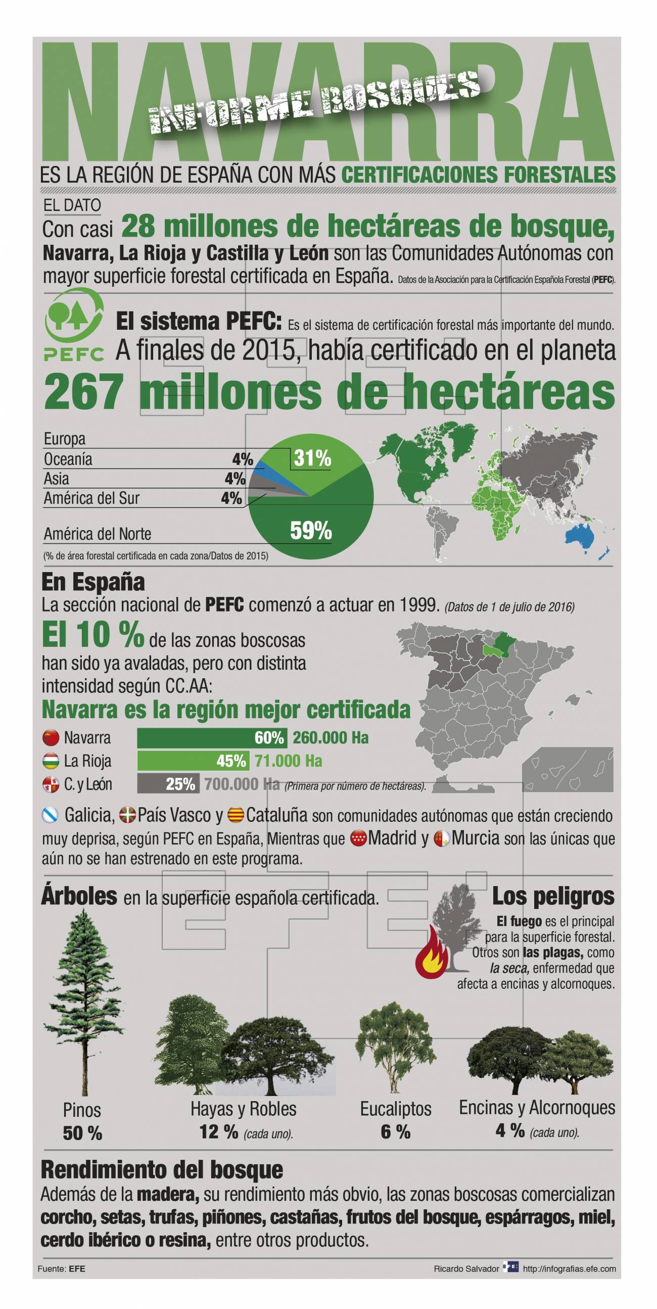 Infografía explicativa sobre la distribución de la superficie forestal en España. / Efe	